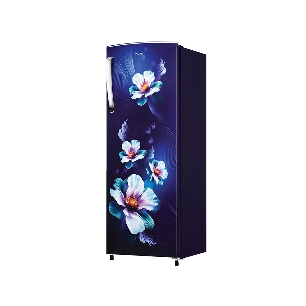 Haier 235L 2 Star MarineKaren Single Door Refrigerator 